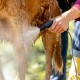 Κωνικό ακροφύσιο δέσμης