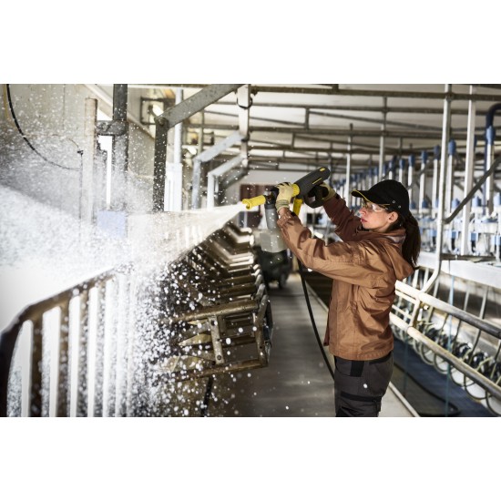 Αφρός καθαρισμού PressurePro, αλκαλικό RM 91 Agri 10 l